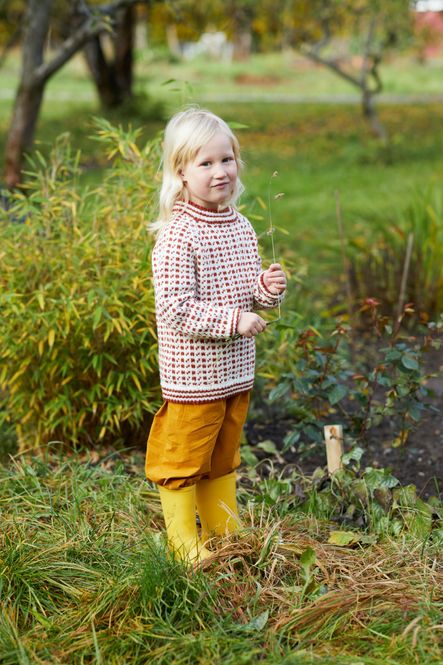 Hovedbilde 365-1 Islender til barn oppskrift